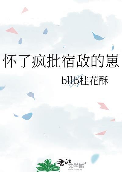 怀了宿敌alpha的崽之后宸砸晋江