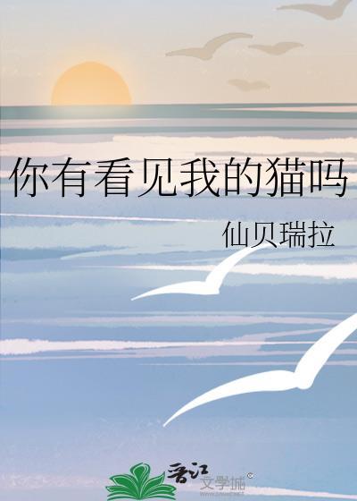 你看见我家猫了吗