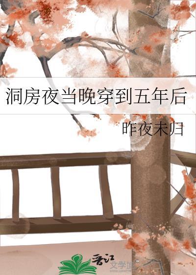 洞房夜当晚穿到五年后by昨夜未归