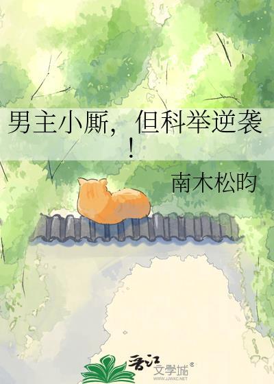 男主视角古言科举