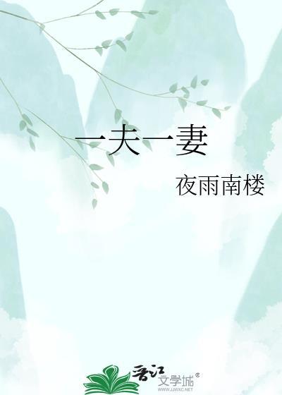 一夫一妻制是什么时候开始谁提出的