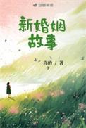 新婚姻故事喜酌全文免费阅读TXT