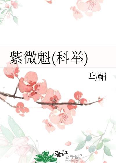 紫微魁科举乌鞘