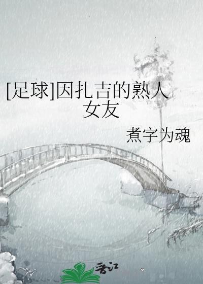 因扎吉效力过哪些球队