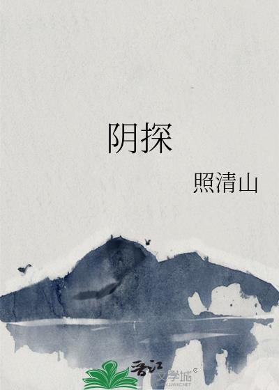 阴探视镜