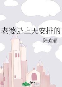 老婆是上天安排的免费完整阅读