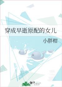 白塔今夜有灯txt