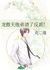 龙傲天他弟渣了反派! 作者丸二