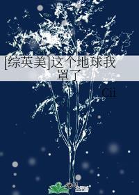 这个地球英文