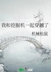 挖掘机与小轿车后续