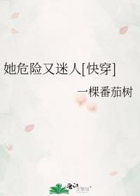 她危险又迷人晋江