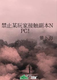 禁止某玩家接触副本NPC番外