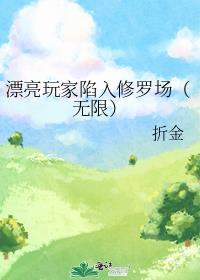 漂亮玩家身陷修罗场[无限
