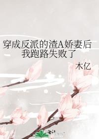 穿成反派渣妻后书包网