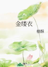 金缕衣甄嬛传插曲