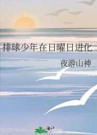 排球少年日曜日进化