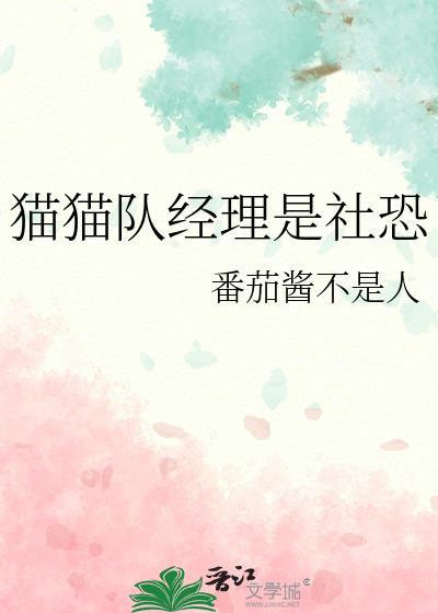 猫猫队长动画片