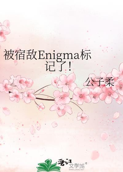 被宿敌Enigma标记了！